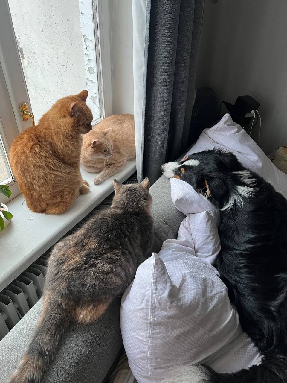 Oleksandr Ratushnyi Whole squad