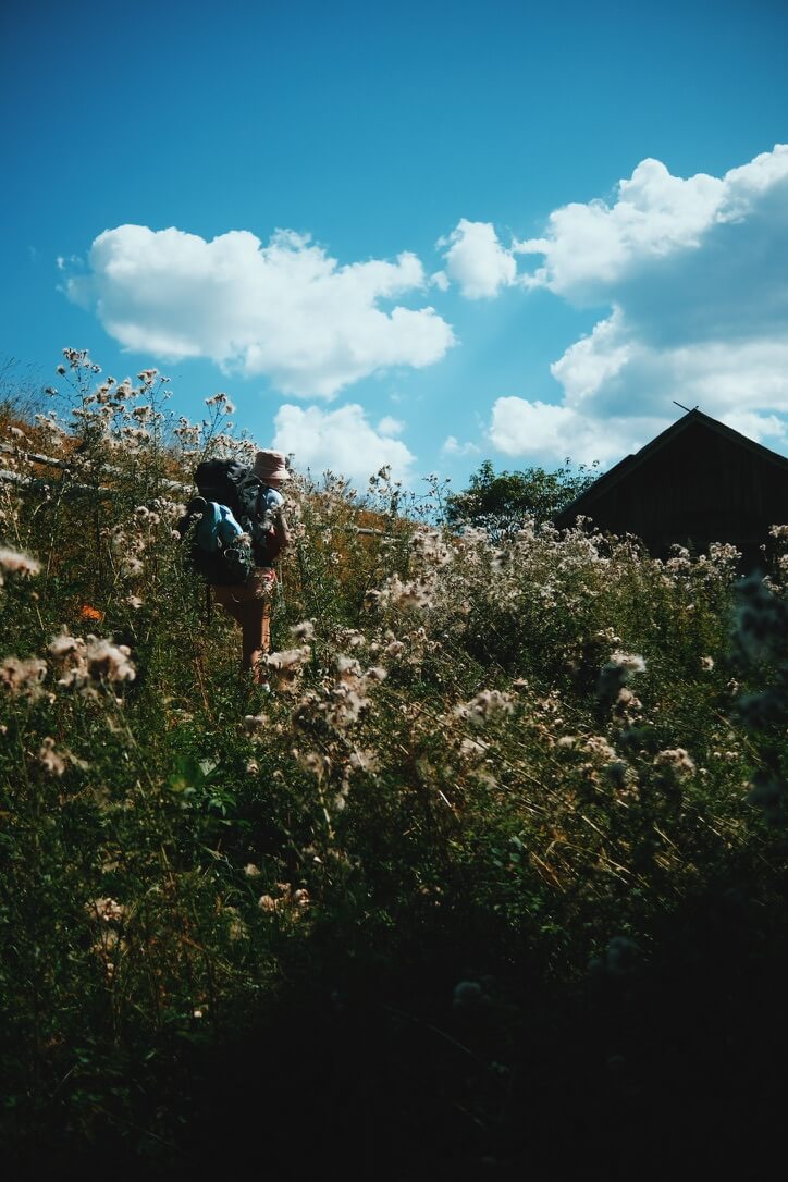 Oleksandr Ratushnyi Kostrycha, Carpathian mountains